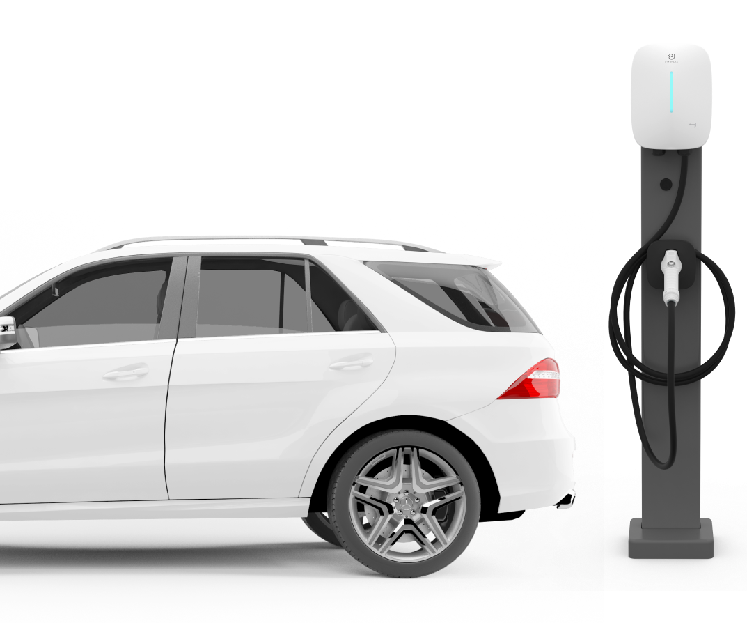 Aliquip officia quas